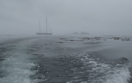 MEDICAL UPGRADE REQUIRED